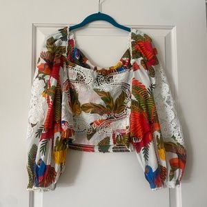 Farm Rio Top forest birds